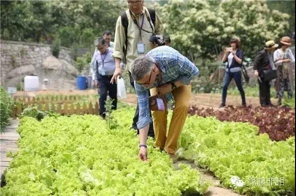 北京外国语大学文化考察团赴北京龙泉寺参访